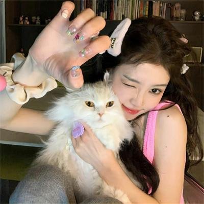 喜羊羊与灰太狼之喜气羊羊过蛇年